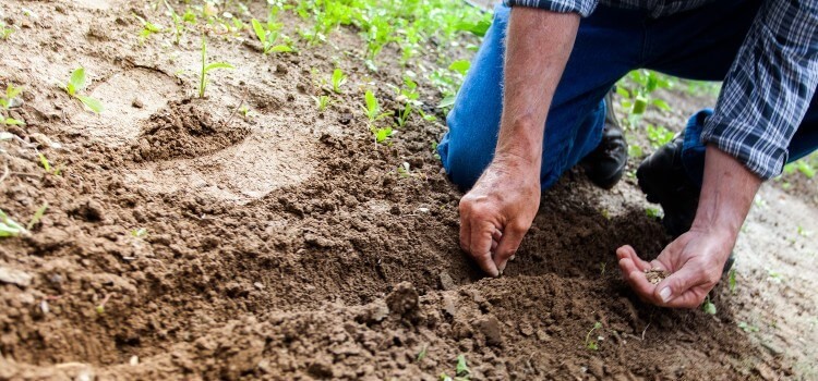 Save Your Back with the Right Gardening Equipment